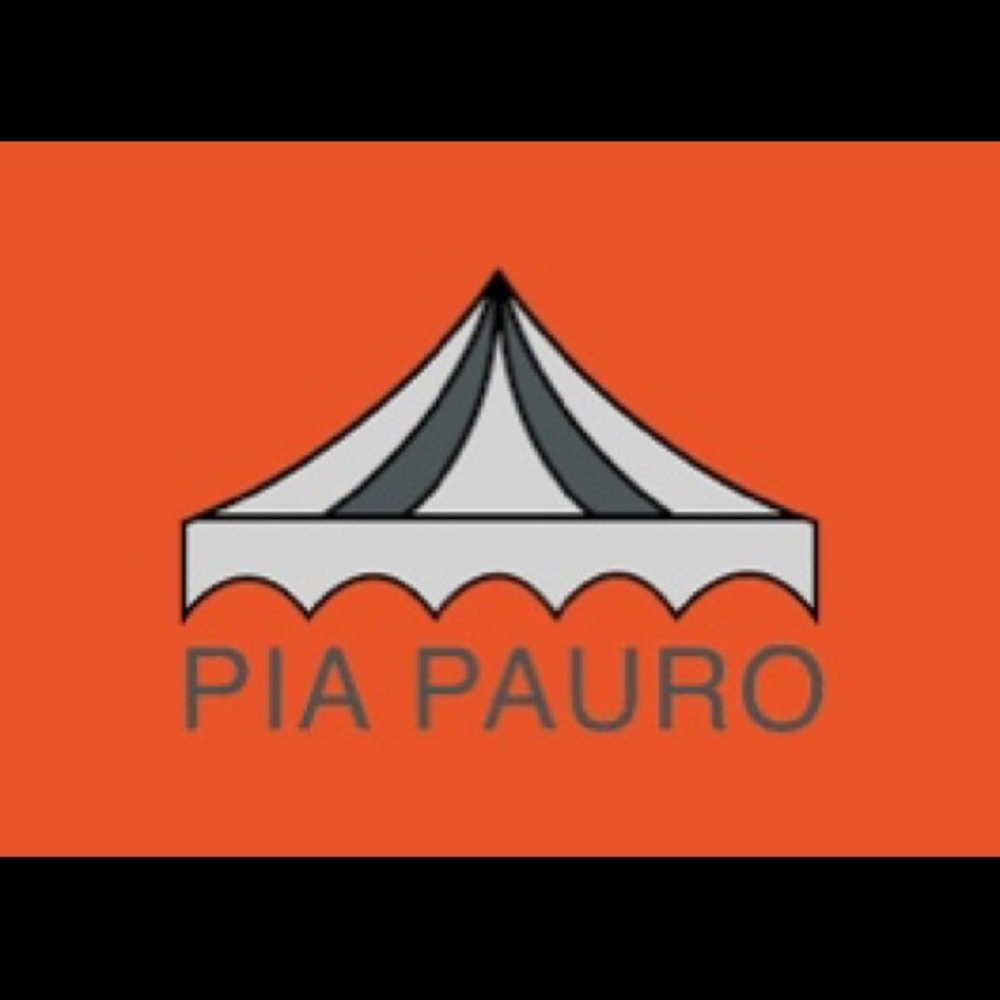 PIA PAURO. Embroidered Swing Tassel Dress! - Picture 2 of 7